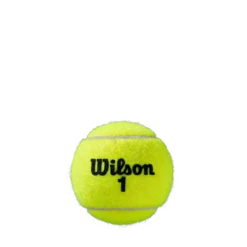 Wilson Roland Garros Clay - Individual Can (3 Balls) -Tennis Gear Online WRT125000 3 Roland Garros Official Ball